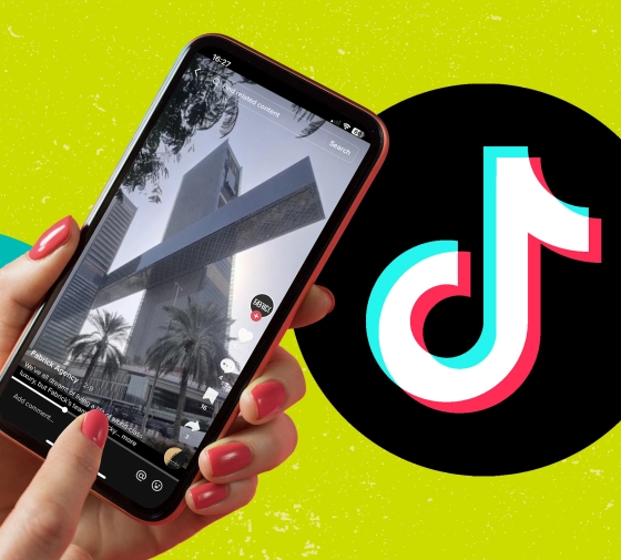 {views-images:image-caption}