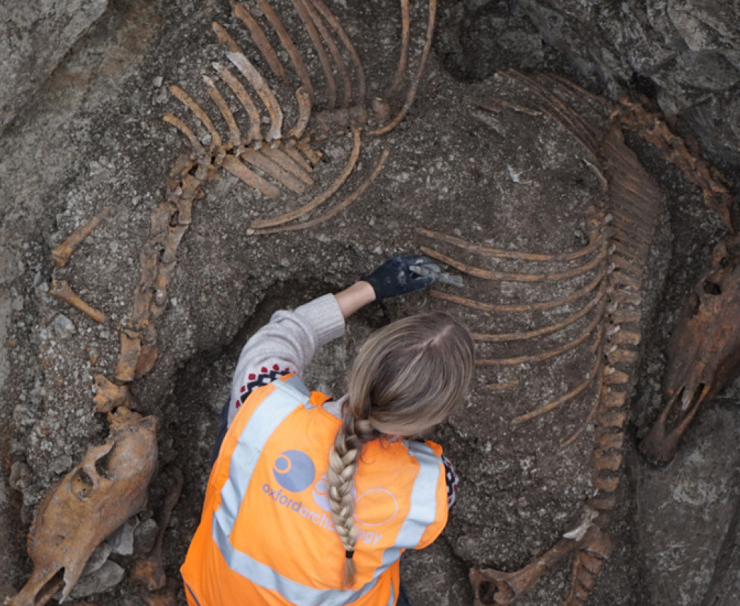 Archaeologist undertaking an archaeological dig