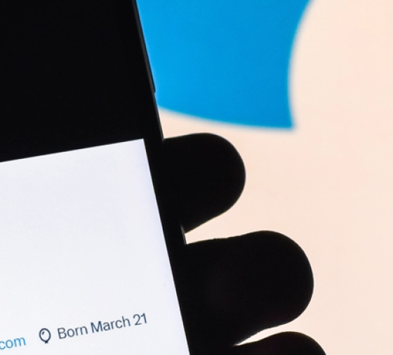 {views-images:image-caption}